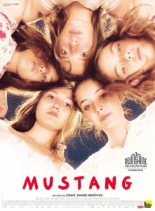mustang