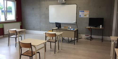 covid 19