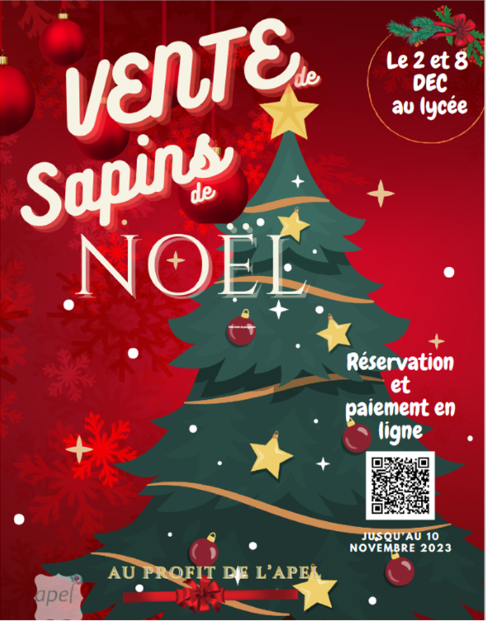 Une grande première à REY : Vente de sapins de Noël par l’APEL