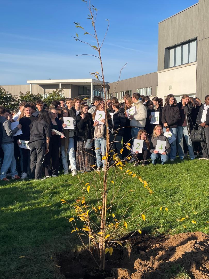 Plantation de l&rsquo;arbre de promotion