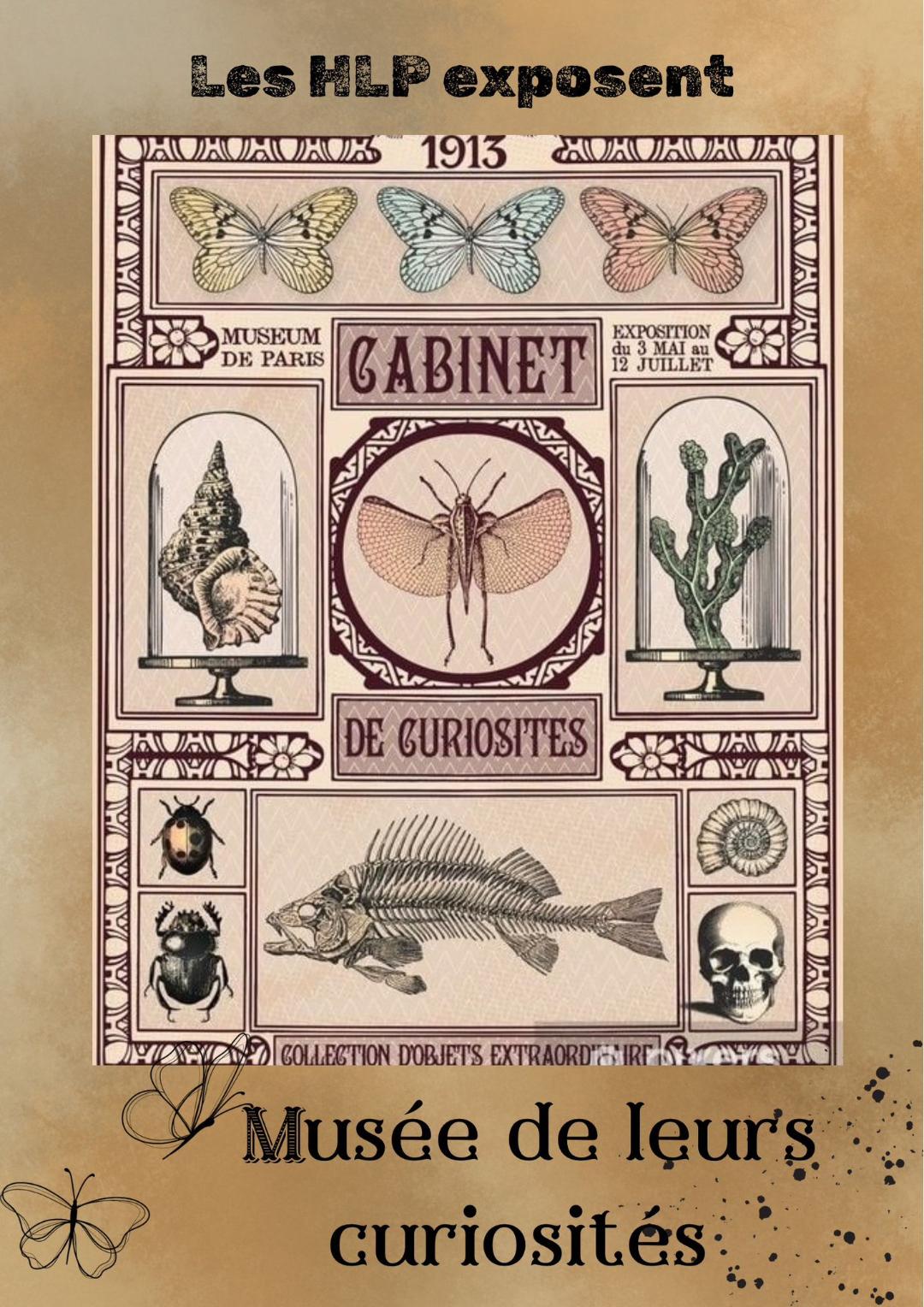 Les HLP exposent au CDI jusqu’au 7 juin